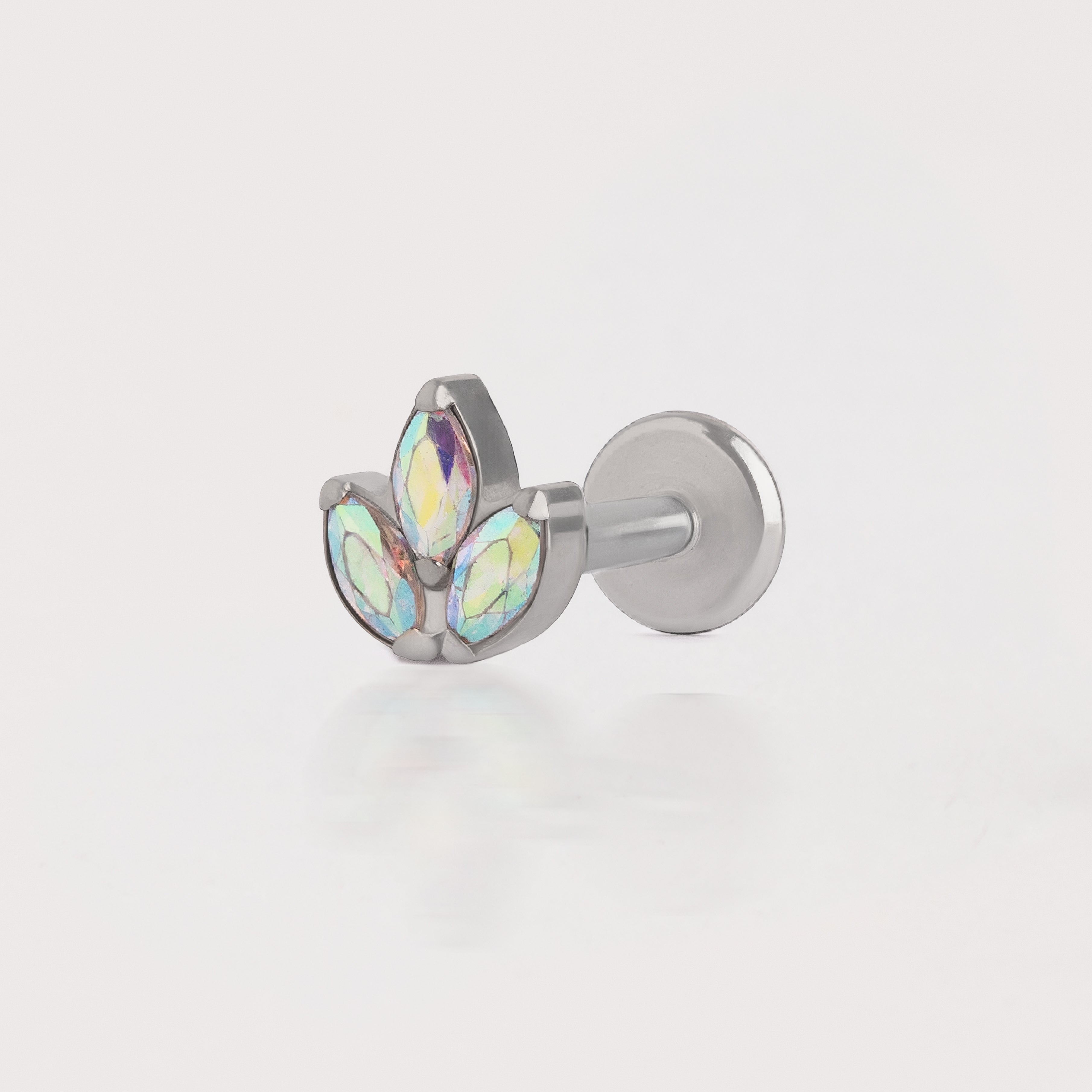 Piercing Fly