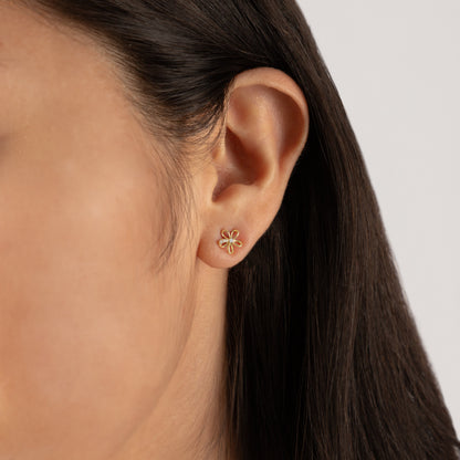 Arete Flor Punto Luz - AR40008