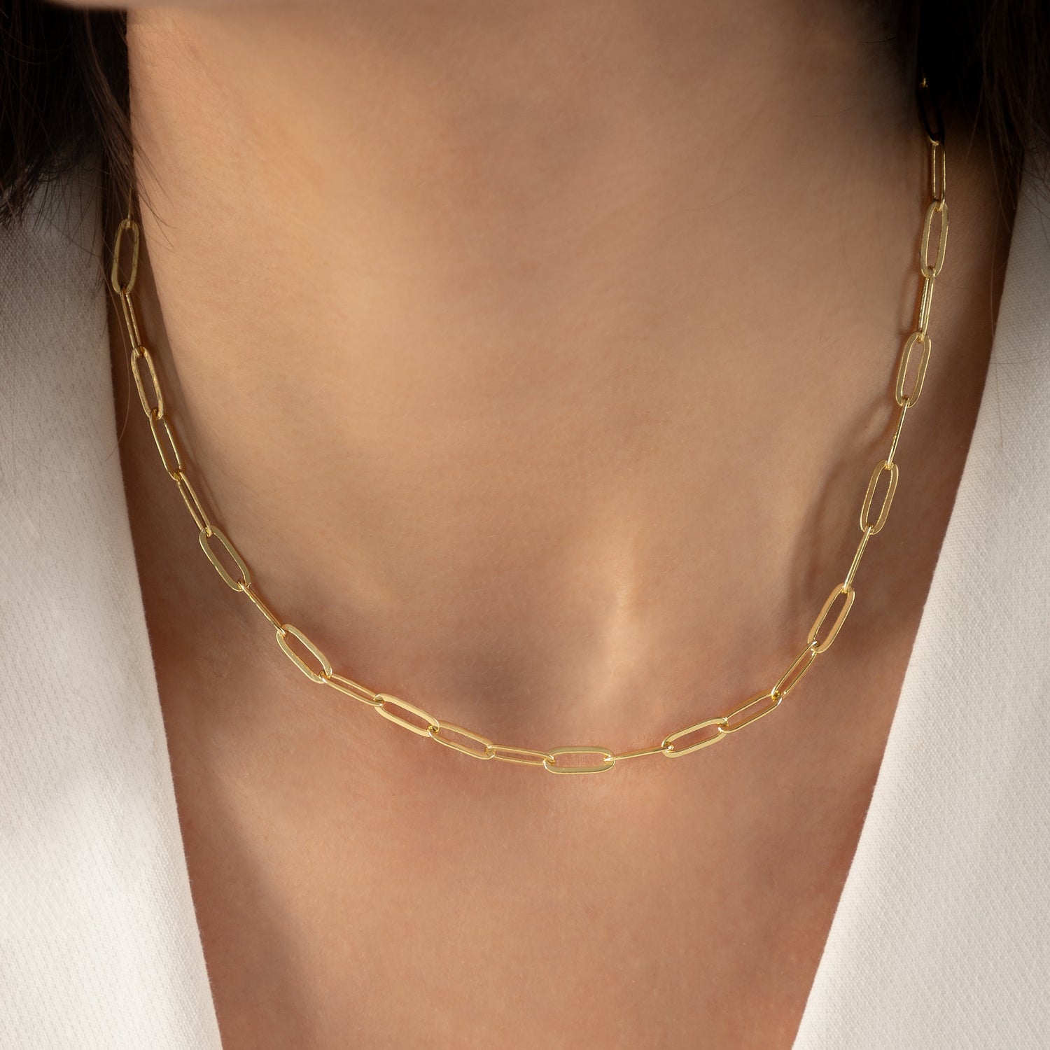 Collar Clip Large - CO40003