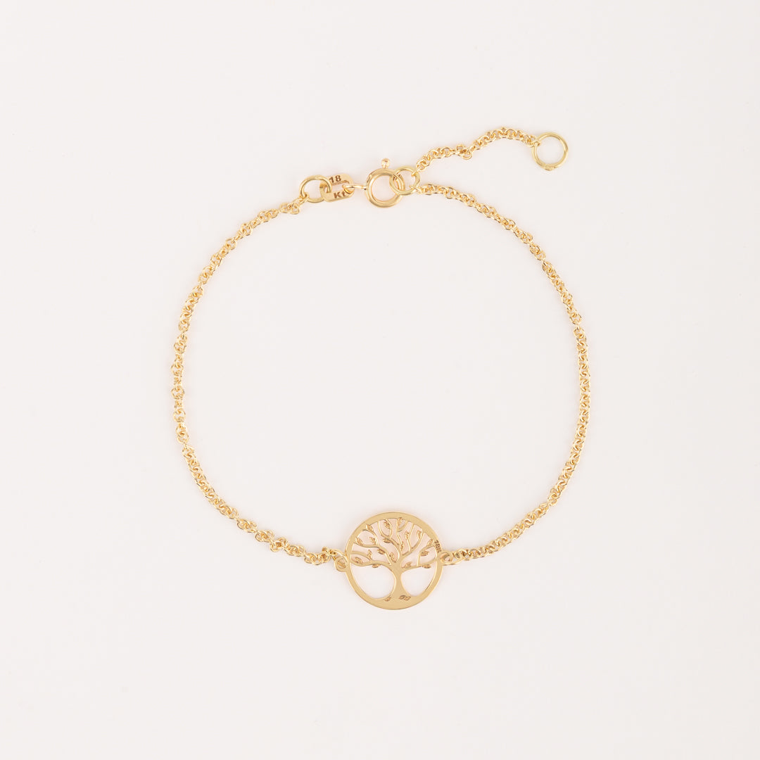 Pulsera Vida Oro 18k