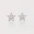 Aretes Estrella de luz