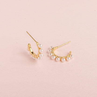 Argollas Ara