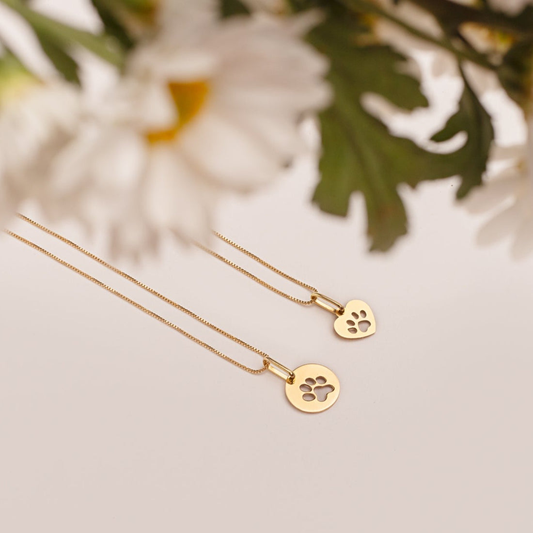 Collar Medalla Corazón Huellita Calada