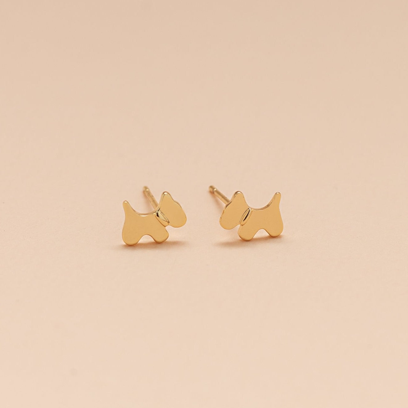 Aretes Perrito Schnauzer Mini