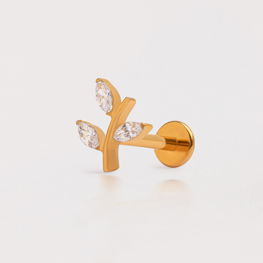 Piercing Oliva