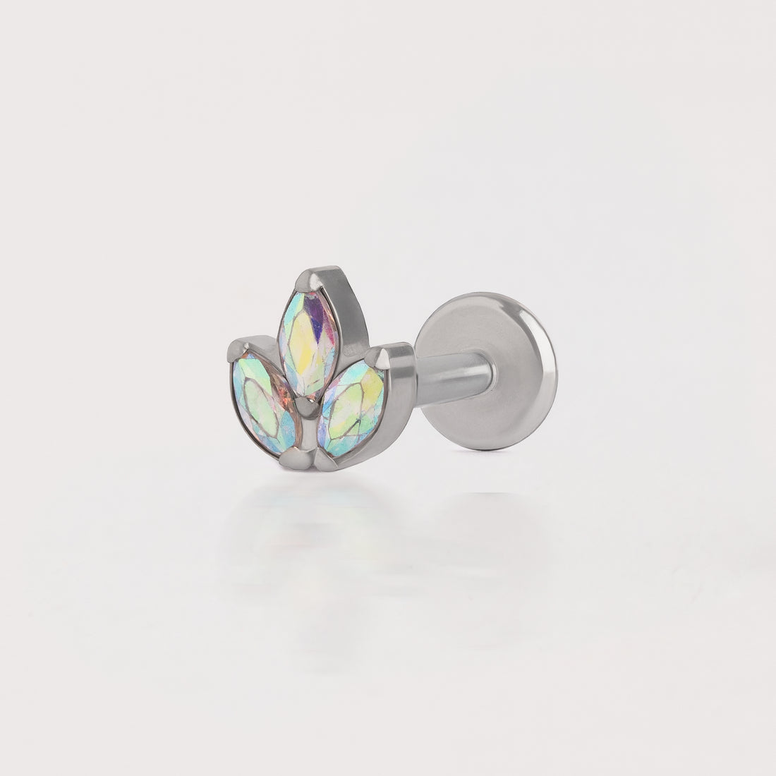 Piercing Fly