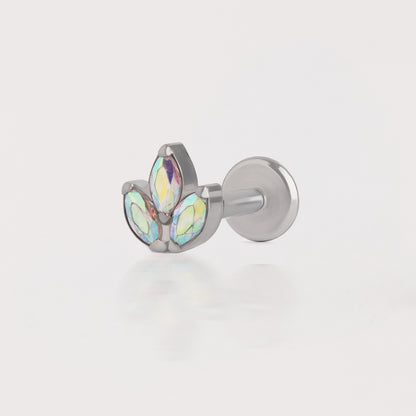 Piercing Fly