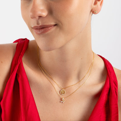 Collar Alas de Luz - CO30012