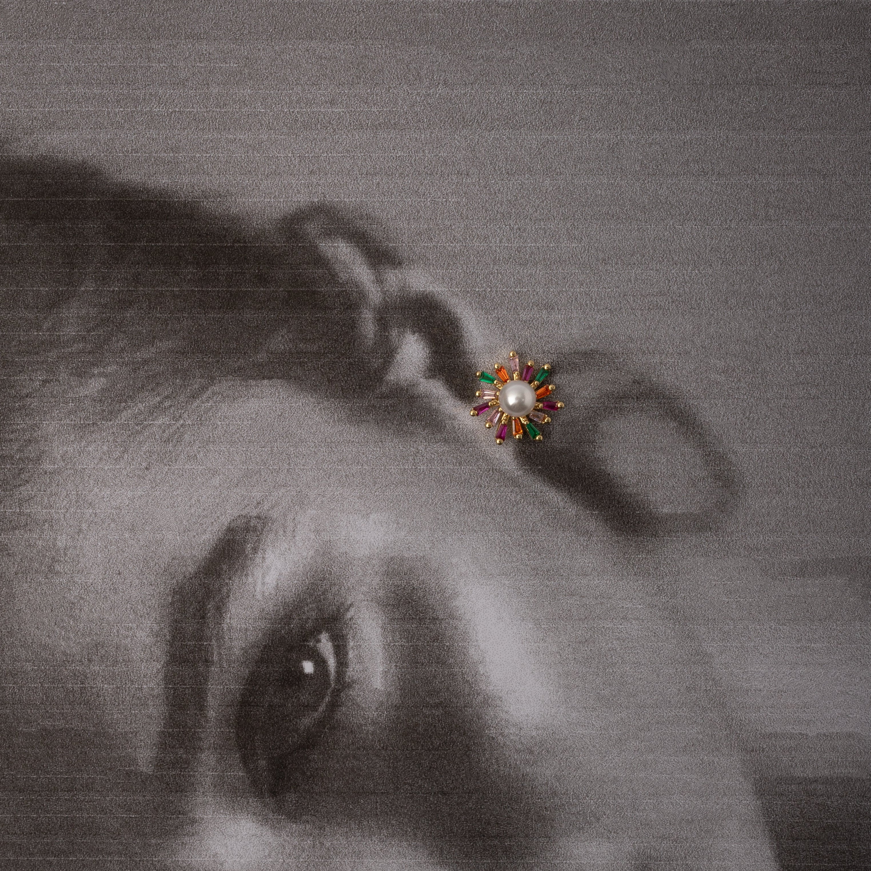 Aretes Rainbow Flower