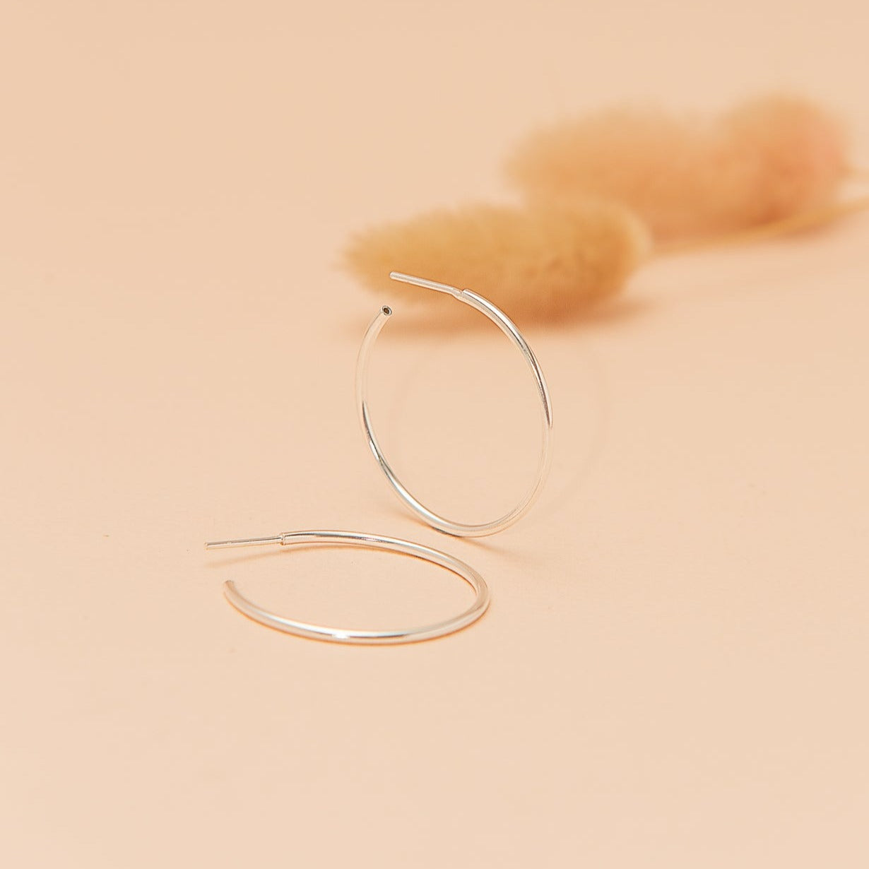 Argollas Clásicas con Broche Regular Plata 925